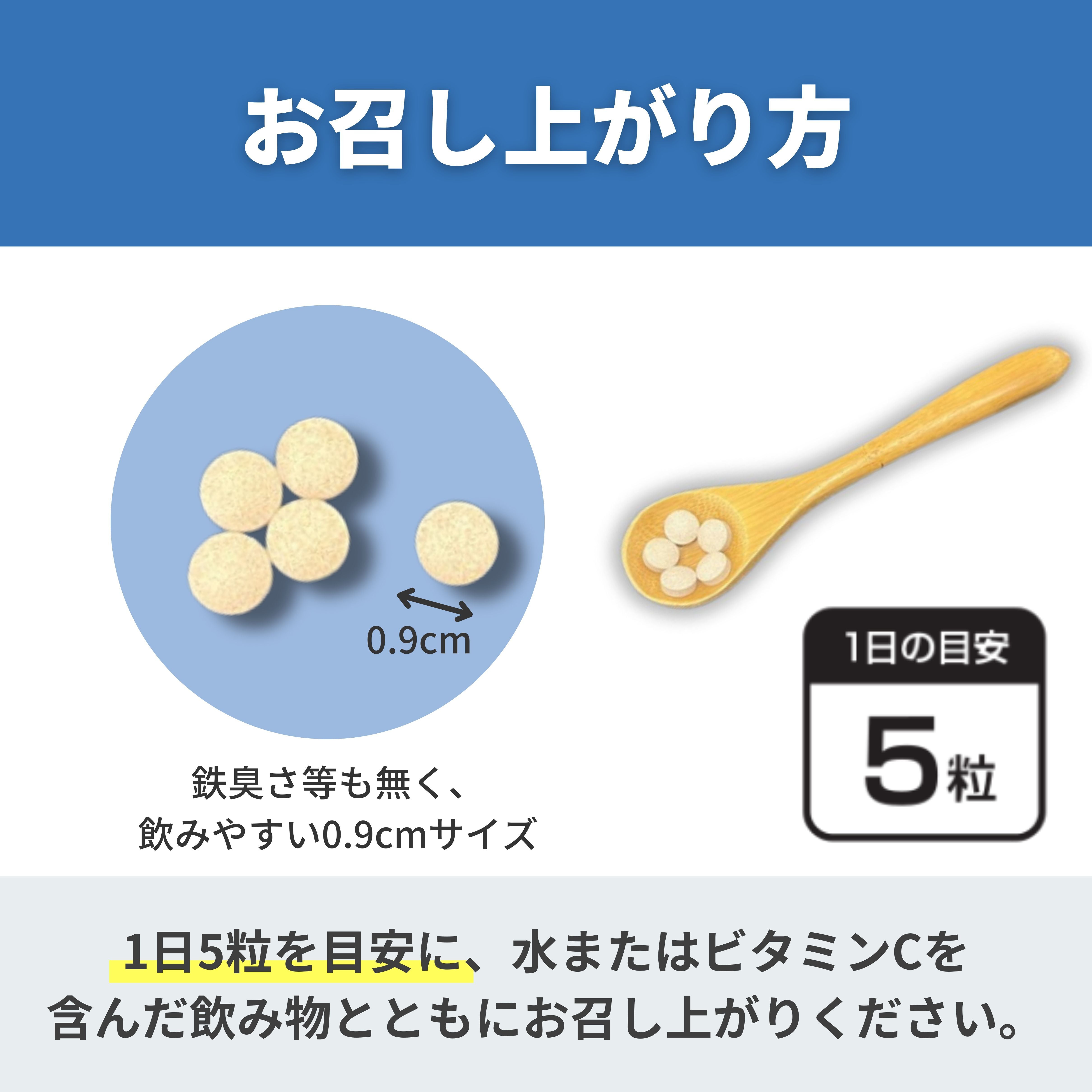 Junup Ferritin Ace（2袋入り） | Junup Ferritin