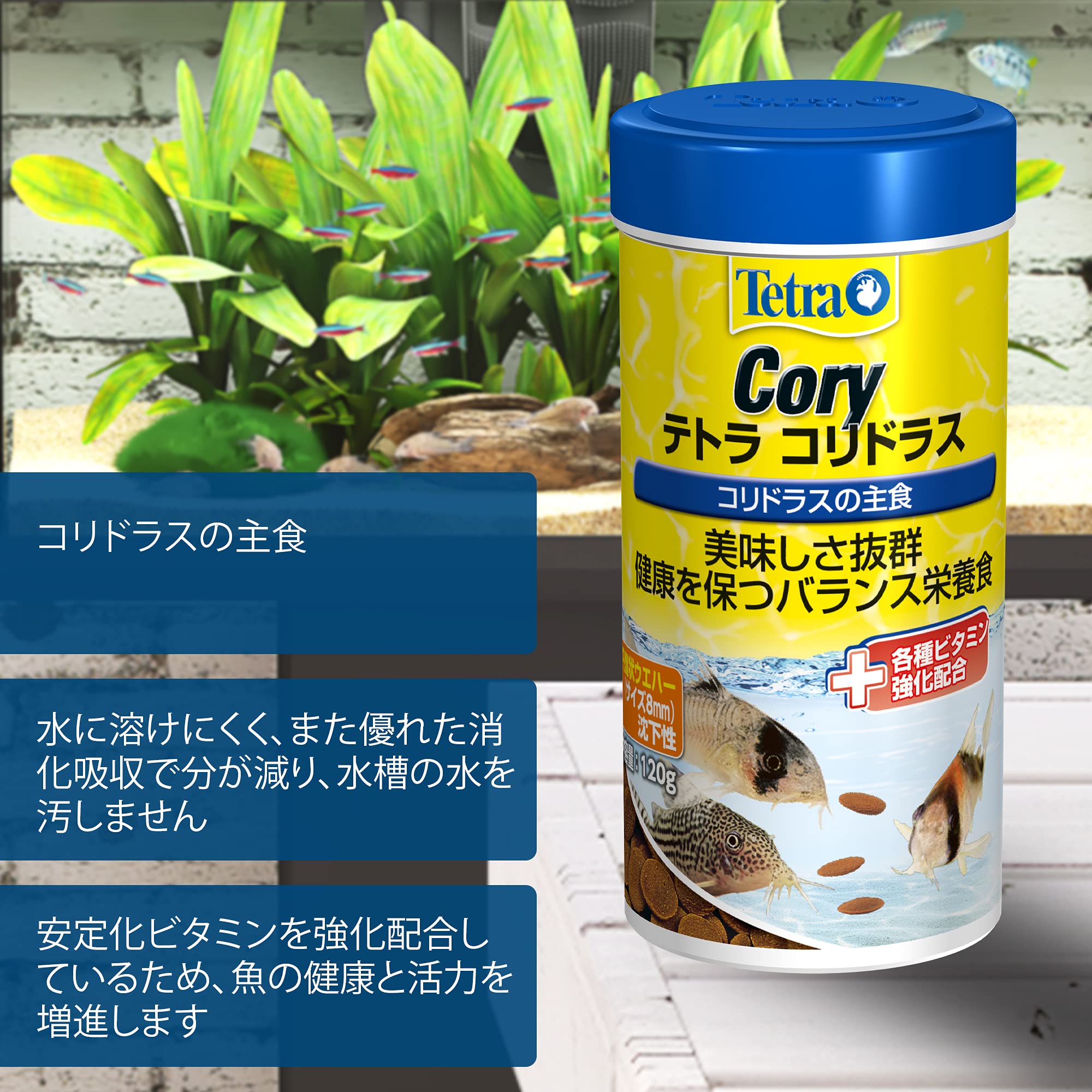 テトラ (Tetra) コリドラス 120g コリドラスや底棲魚の主食 バランス
