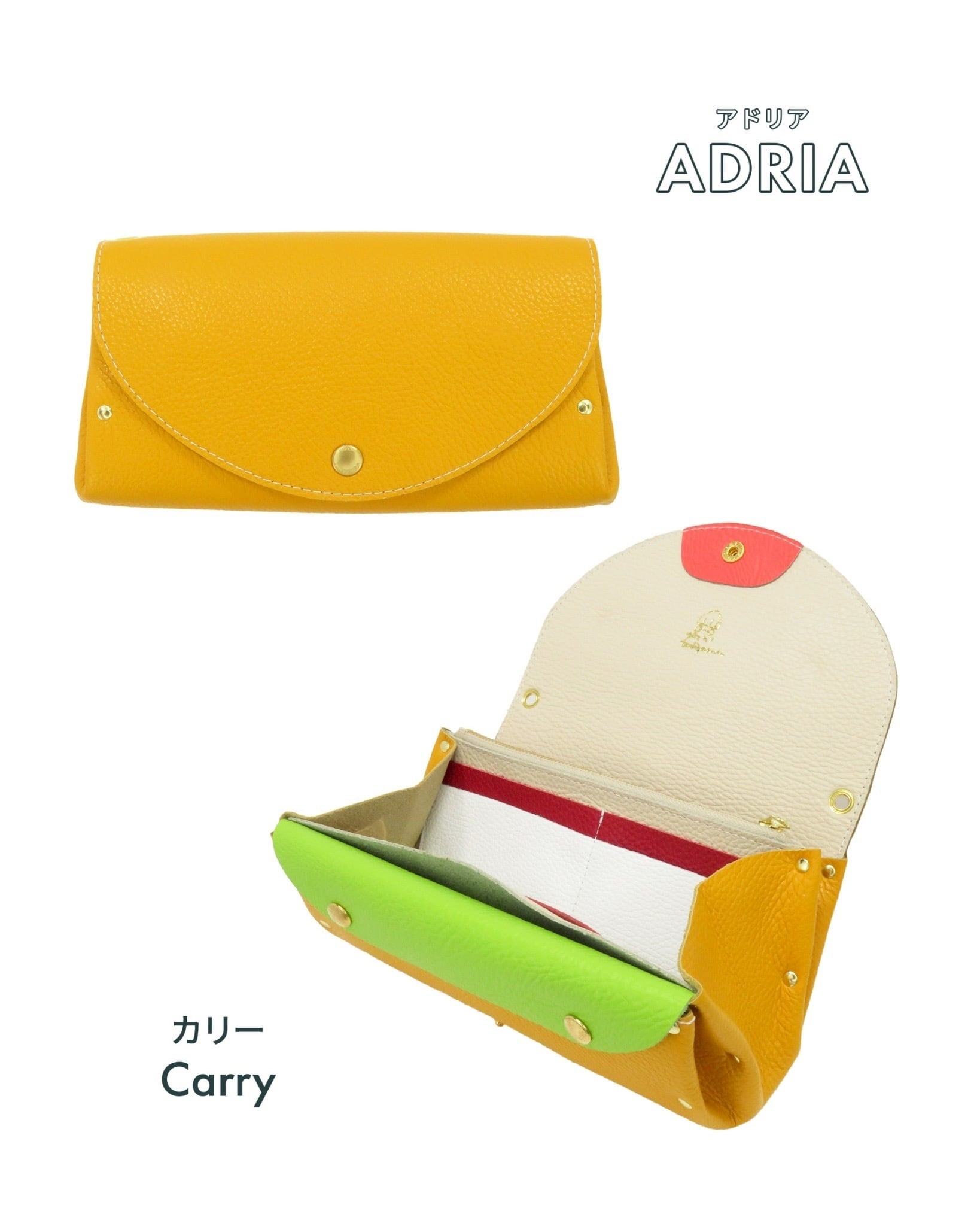 Wallet | YUICHI TACHIYAMA