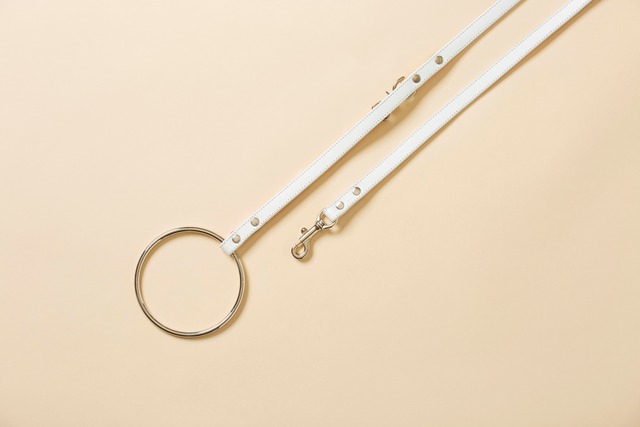 Ring Leash / White