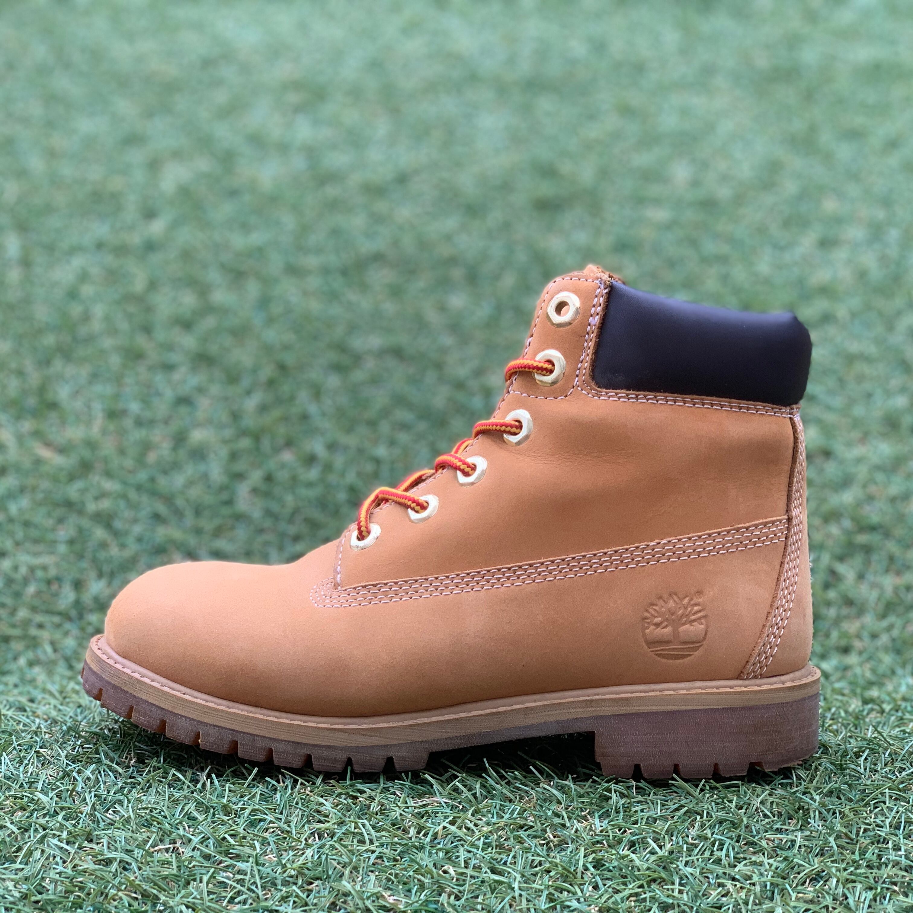 Timberland 6INCH BOOTS ティンバーランド 6インチ ブーツ F603