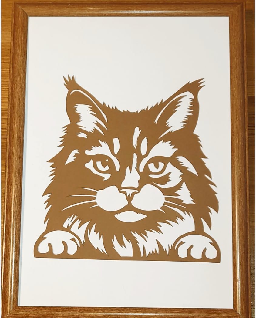 色鉛筆画 A4 ハチワレ猫130 色鉛筆画 A4 ハチワレ猫131 色鉛筆画 A4