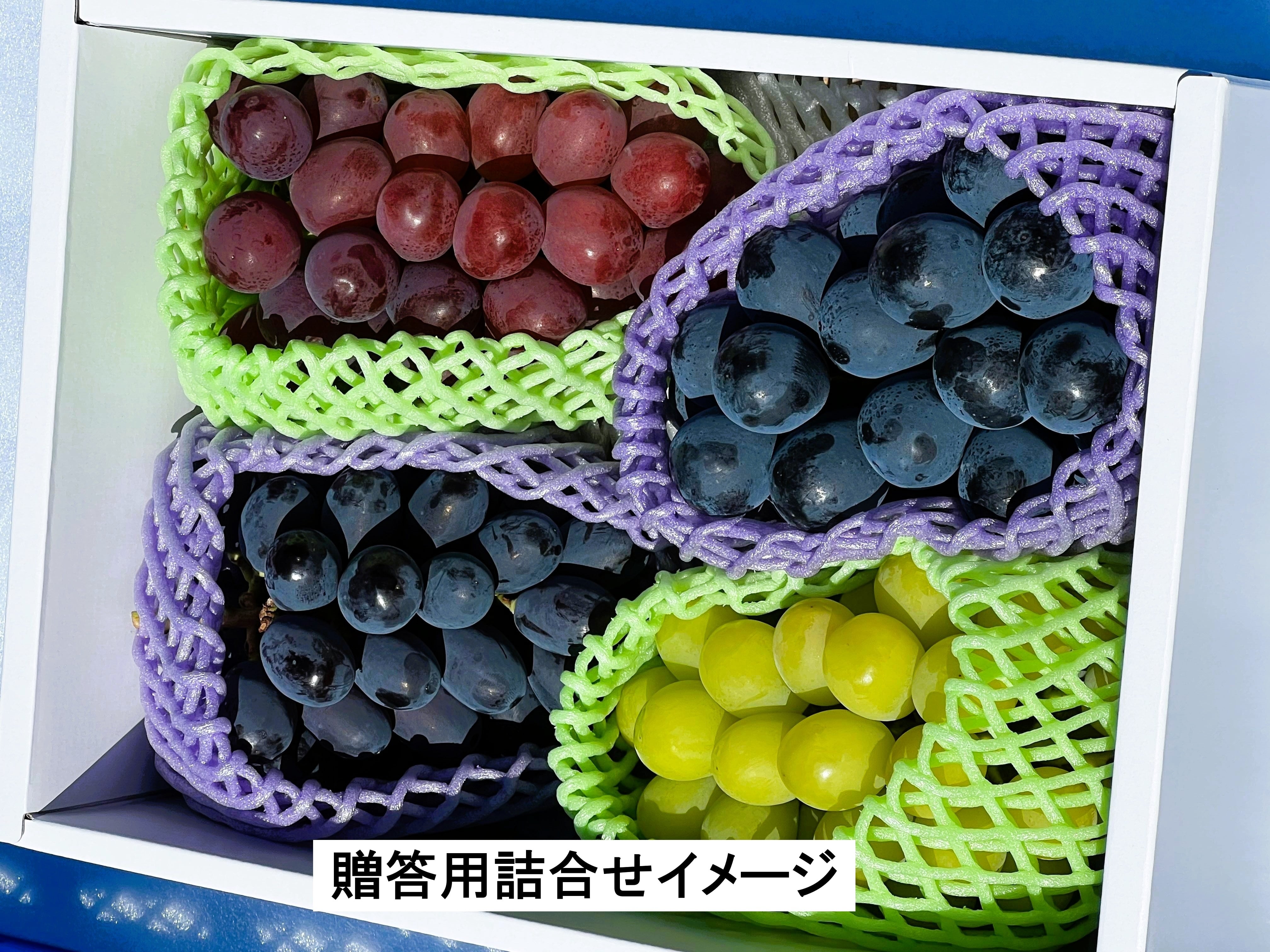 マルセン農園 MARUSEN FARM 安曇野のアスパラガスとブドウ