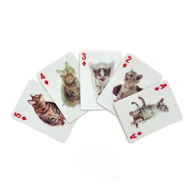 【訳ありセール】 3-D Cat Cards｜【SALE Sample】 猫のトランプ