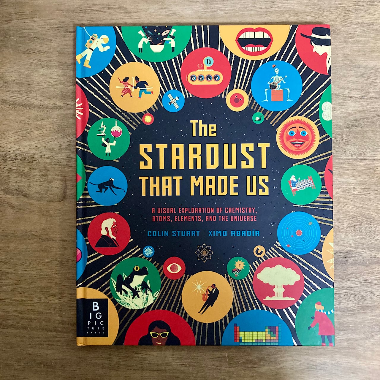 The Stardust That Made Us: A Visual Exploration of Chemistry, Atoms,  Elements, and the Universe