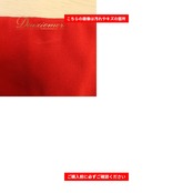社交ダンス 衣装 create-sun クリエイトサン スカート レッスンウェア レッド系 赤 黒 リボン ブラック系 オーガンジー生地 透け感 シースルー フリル フレア ふんわり 華やか 鮮やか かわいい おしゃれ 上品 大人っぽい ダンス 練習 レッスン ダンス衣装 練習着