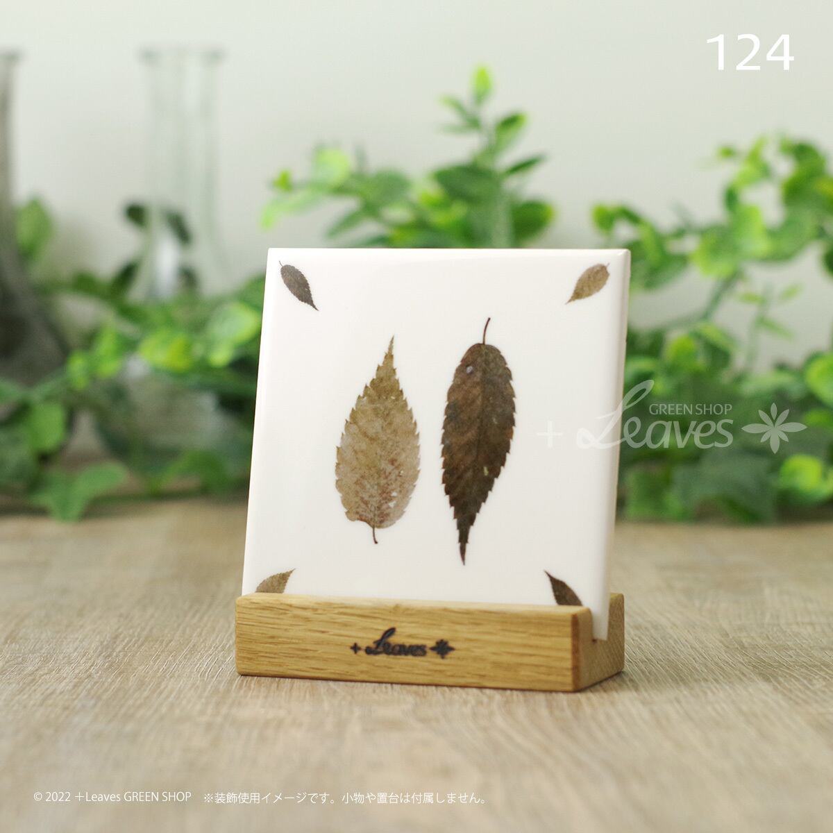 ダイタク トランプ ポストカード 013 トランプ・ダイヤA（エース） 植物ポストカード 【日本郵便