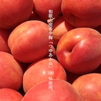 MIYAYOSHI No.09 small bottle