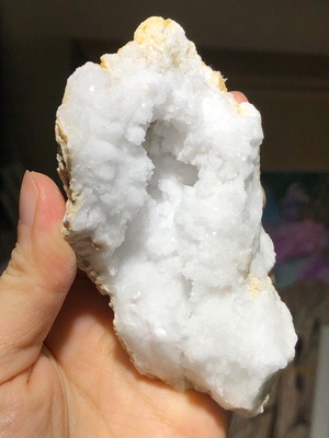 真っ白な生命たち・あなたの素晴らしさを押し出す