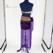 ベリーダンス トライバル 衣装 トップス ベルト セット パープル系 紫 ゴールド 装飾 フリンジ ベロア ラメ 装飾 練習 舞台 発表会 イベント アラビアン コスチューム ダンス衣装 パフォーマンス ステージ 豪華 おしゃれ フリンジ付き