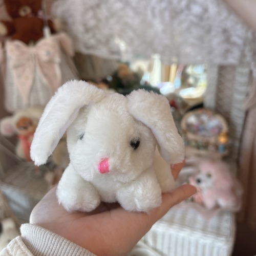 mini usagiの画像