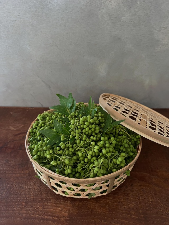 【期間限定】実山椒竹籠500g