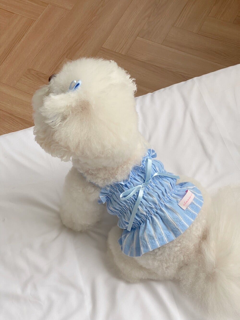 予約【cheese n mood】Mimi Dress (Blue)