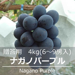 ナガノパープル 贈答用 約4kg（6～9房入）