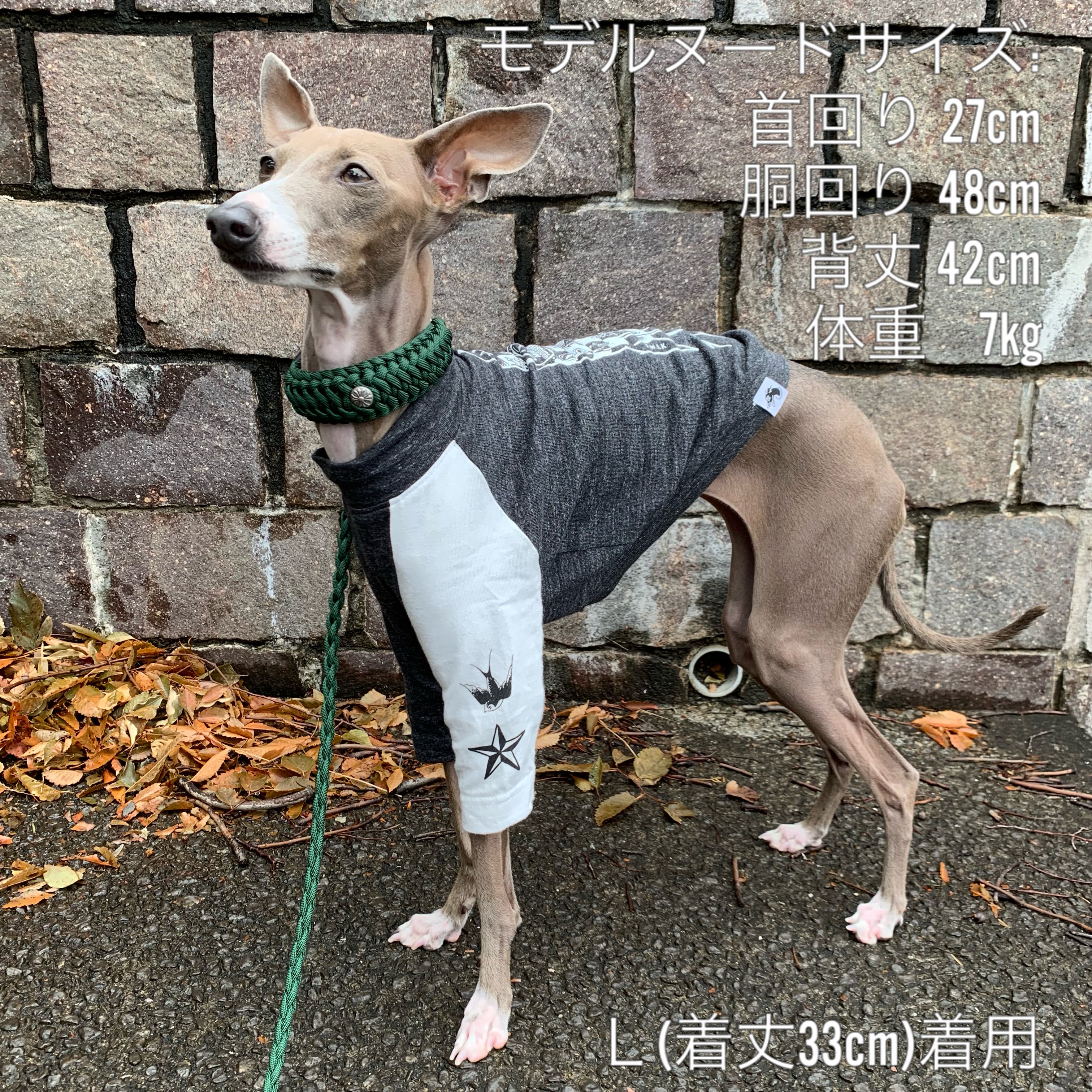 イタグレ服アウターオーダー受付‼︎ 【公式通販】