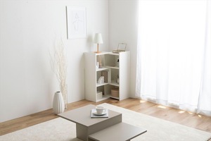 【幅40-75cm】Sunap伸縮ラック