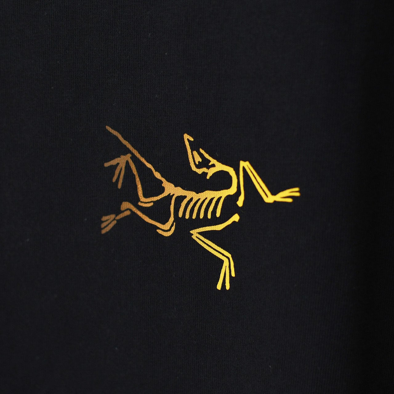 ARC'TERYX [アークテリクス正規代理店] Kragg Cotton Logo SS Men's