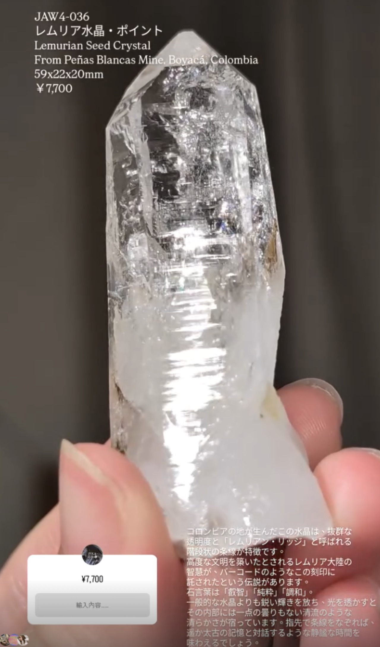 ⭔ お客様専用ページ ⭔ eriumi15_aino_hasuuhikigaku様  　※同梱で発送