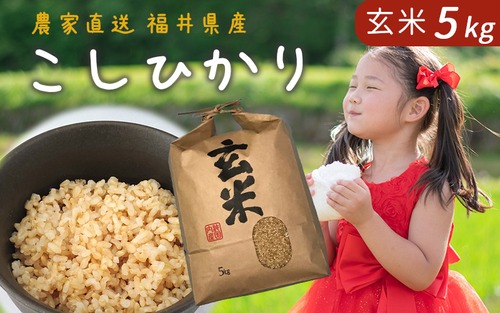 【令和5年産】コシヒカリ 5kg 玄米