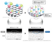 3M クリンプロ 歯みがきペースト F1450 シトラスミントフレーバー 90g ×2本 フッ素濃度1450ppm