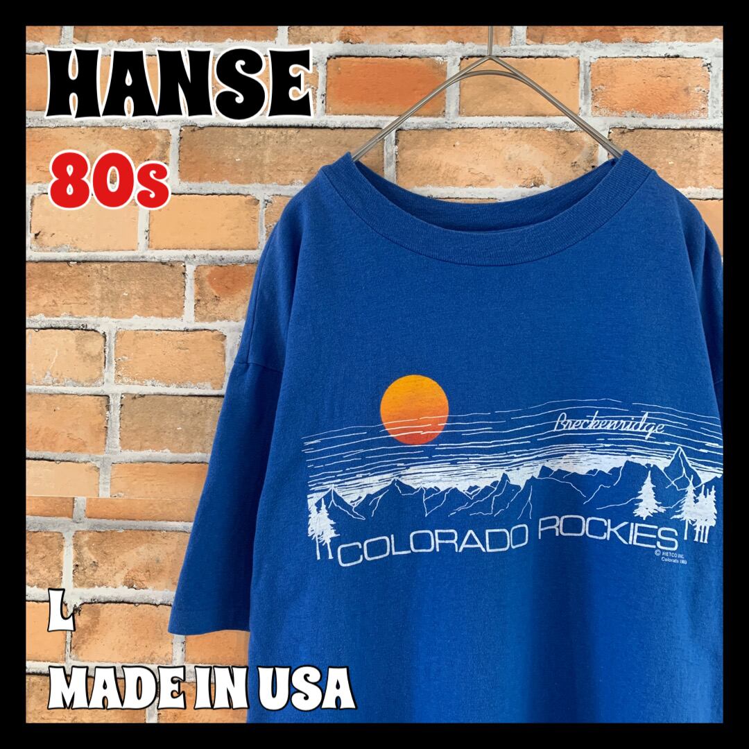 HANSE】80s ビンテージ Tシャツ ロッキー山脈 USA製 アメリカ古着