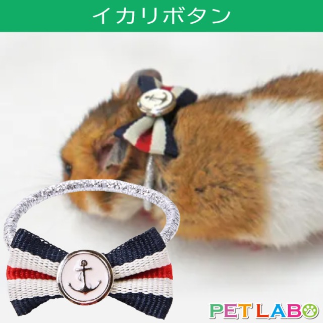 【メール便発送可能】Amo.k(アモワークス)ハムスター用アクセサリー・イカリボタン