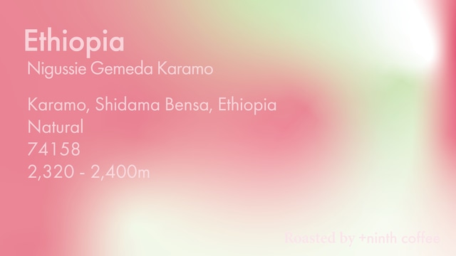 Indonesia Bintang Lima, WetHull