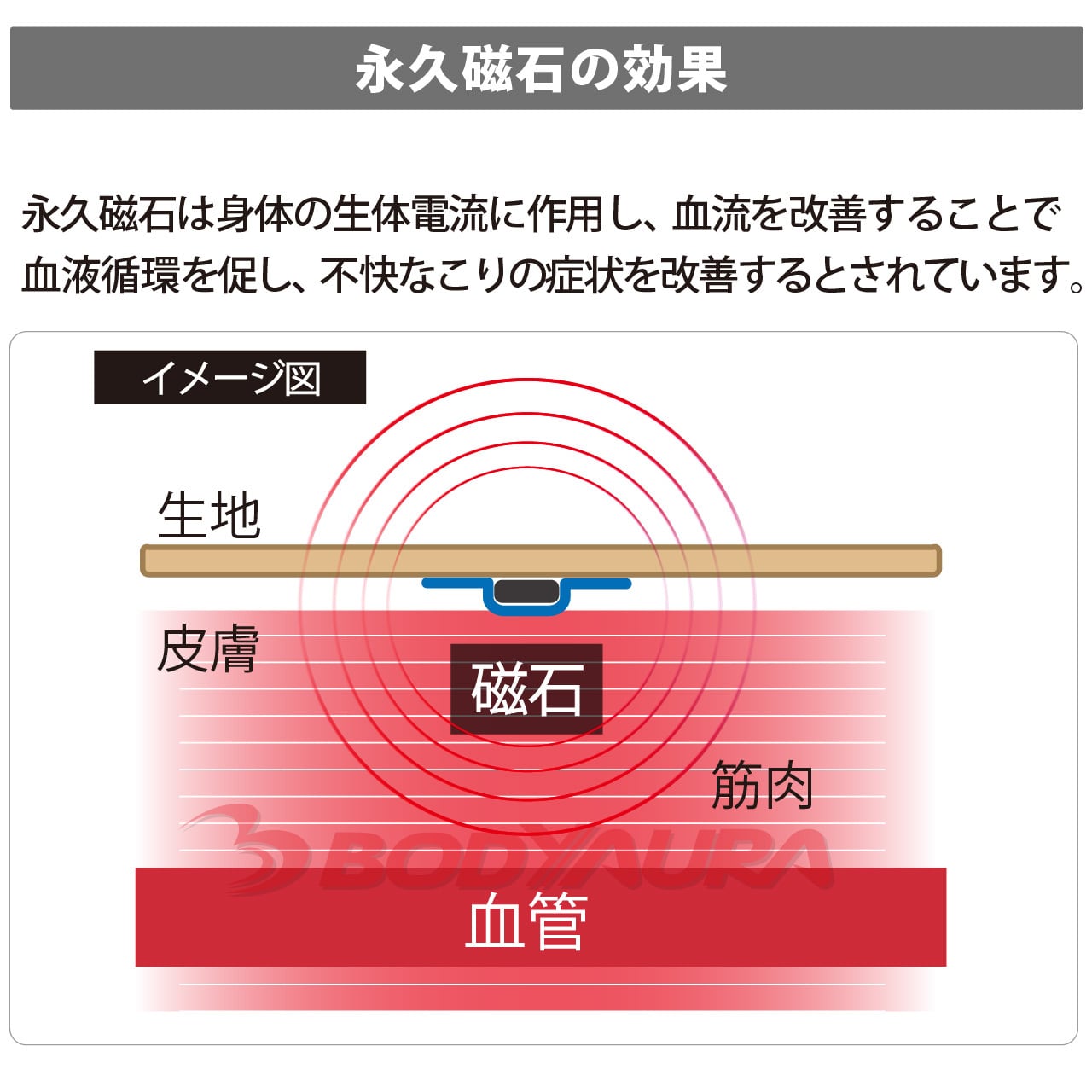 管理医療機器】磁気サポーターWISELEG(ワイズレック）ふくらはぎ用