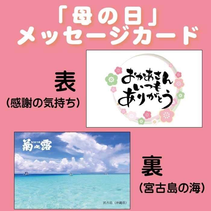 送料無料】定番泡盛飲み比べセット 300ml×3本 | 琉球泡盛の定番！菊之