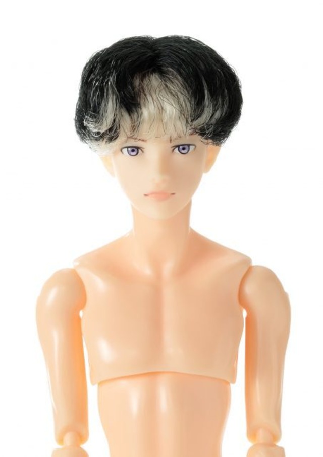 六分の一男子図鑑 ベーシックB2403 ナイン