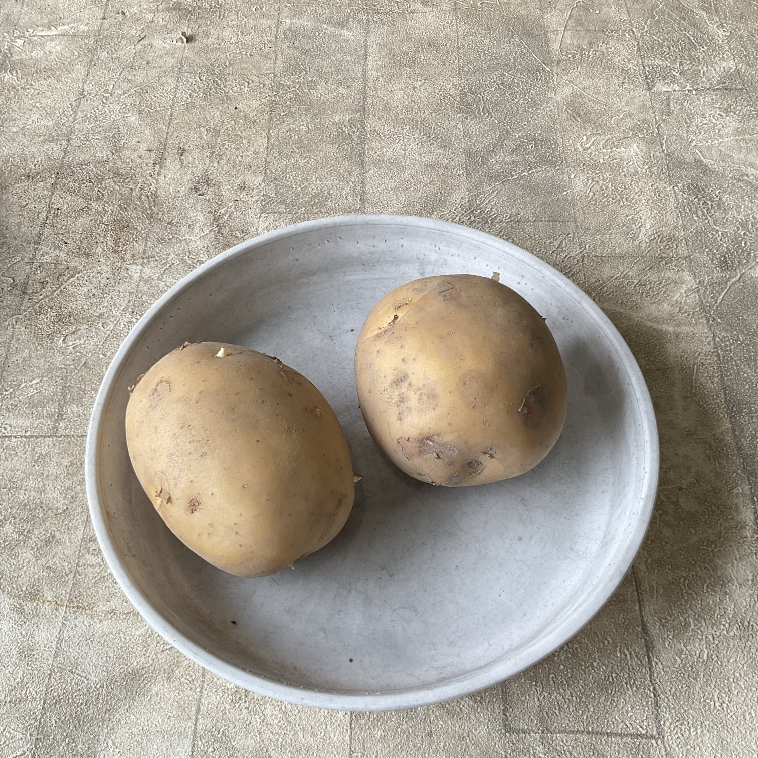 種子用】香川産じゃがいも Lサイズ 1kg〜（量り売り） | 橋本種苗園
