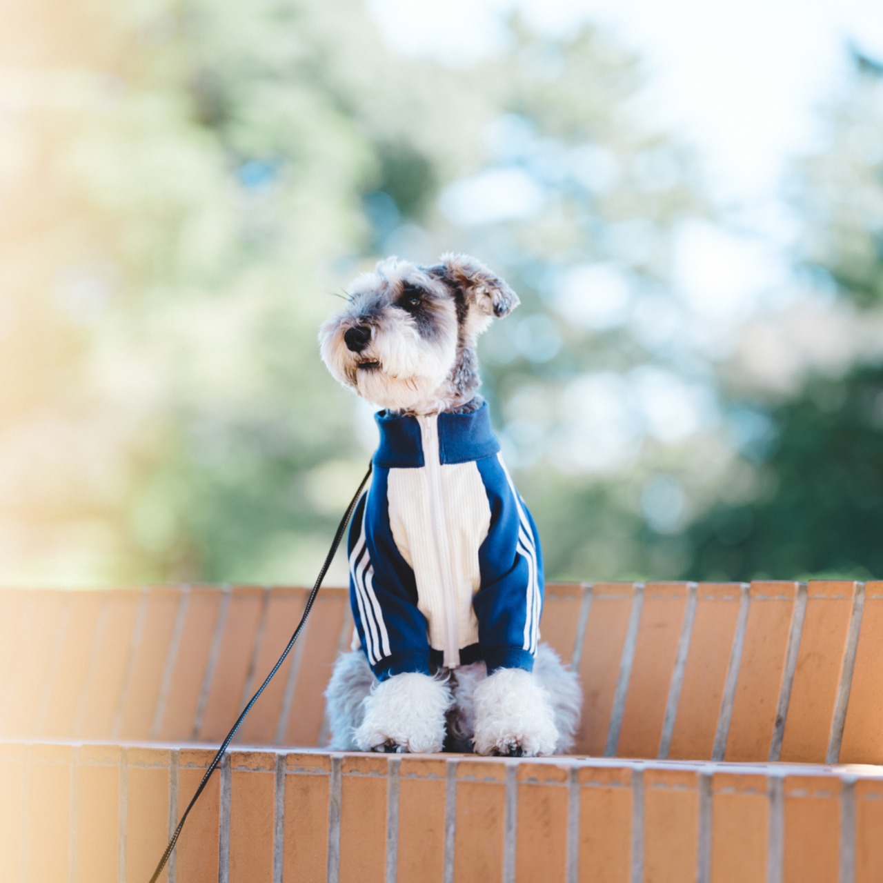 Best Partner's Jersey