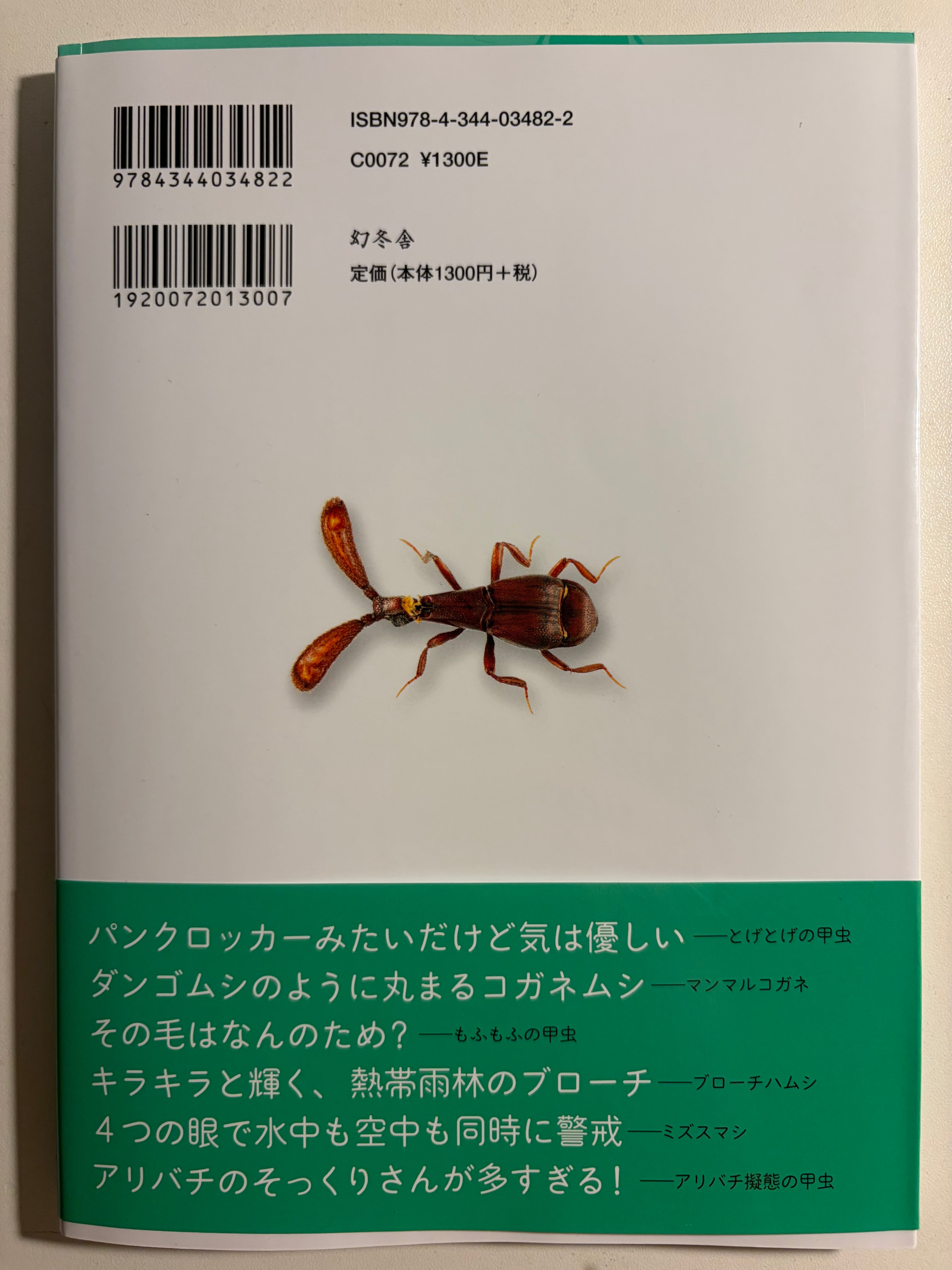 とんでもない甲虫 標本ライオンコガネ プラチナコガネ ミツギリ