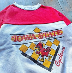 90s IOWA STATE UNIVERSITY  Two torn Sweat shirt DODGER Body