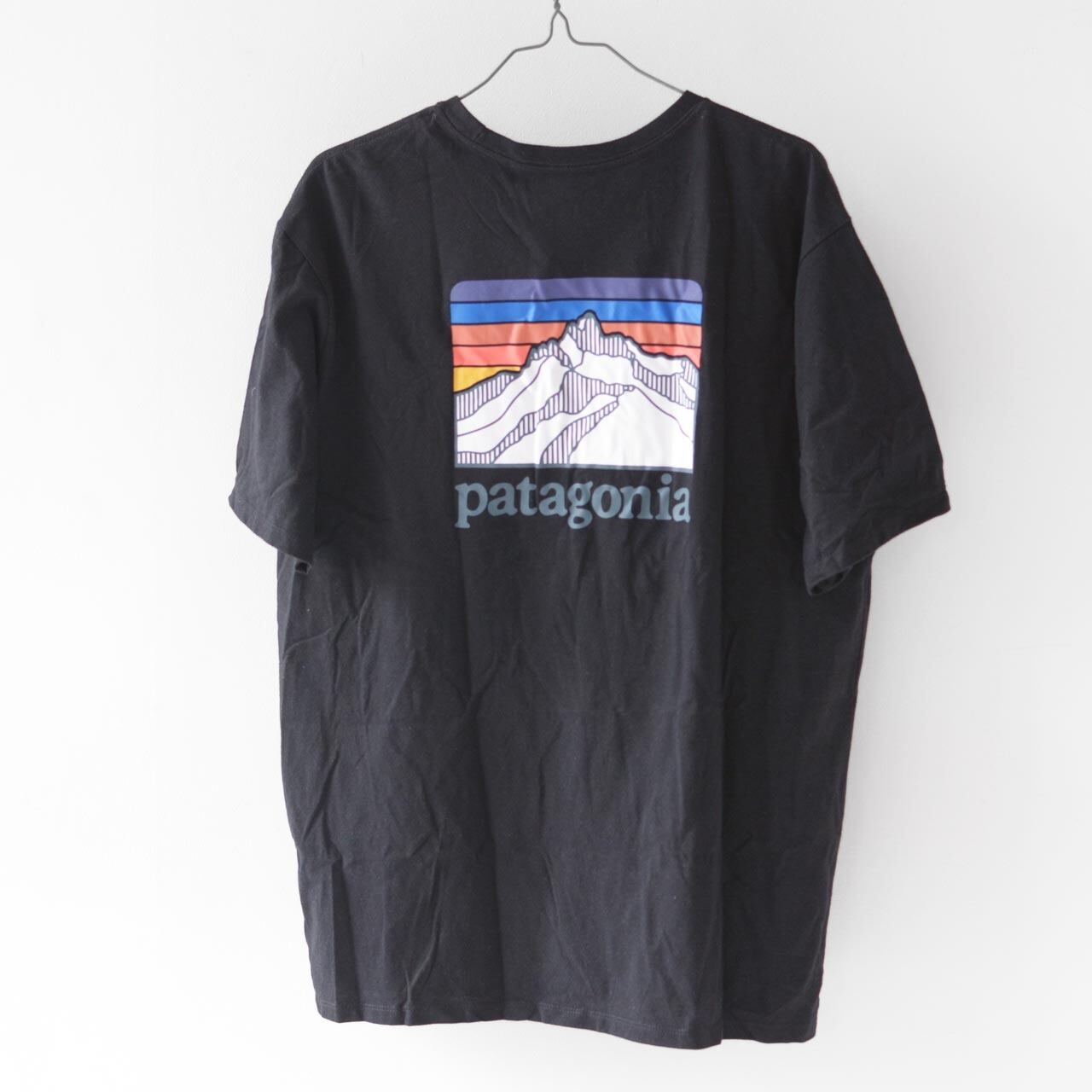 メンズPatagonia Line Logo Ridge  LoPro Turcker