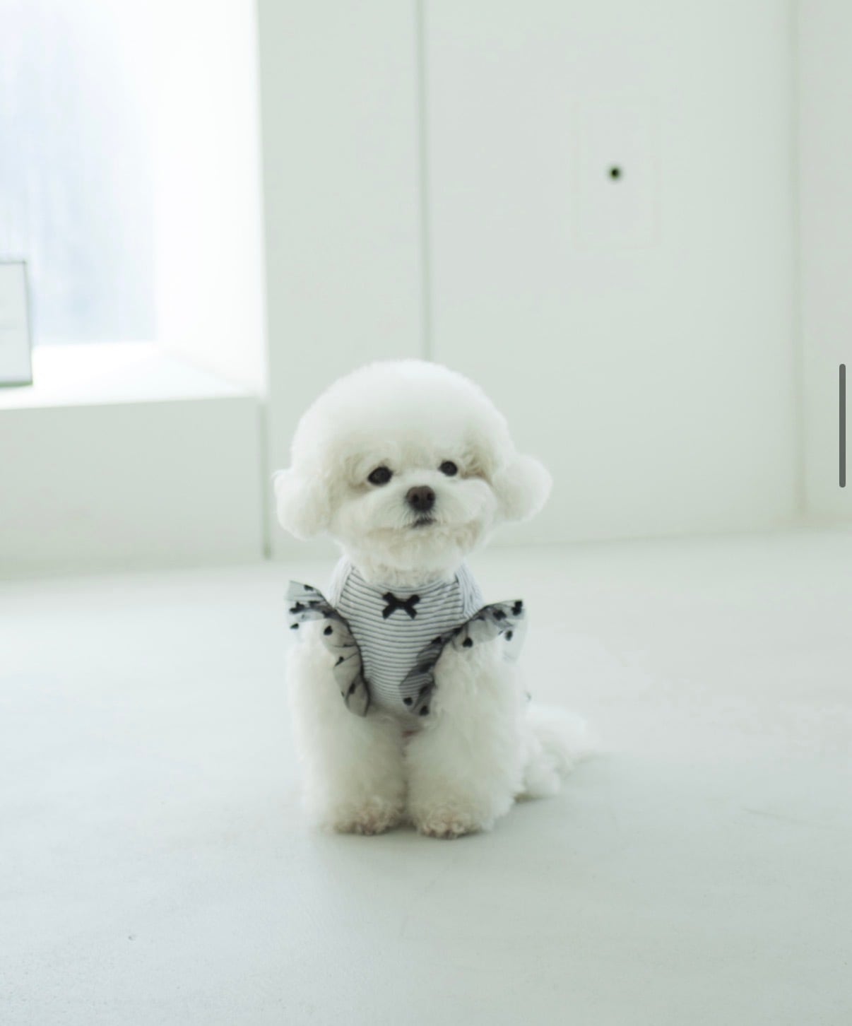 【Coco Chien 】グリビティシャツ