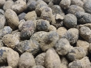 黒豆麹　300g　※プロトタイプ