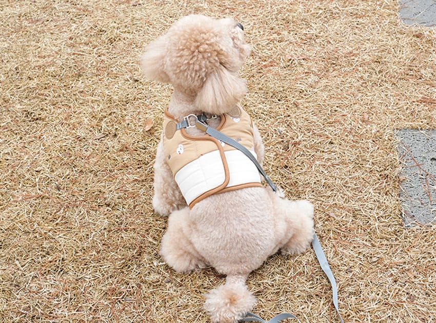 cute duck padding harness S ~ L 2color  /  犬 服 秋冬 暖かい ハーネス リード セット ボア 犬服 ベスト ドッグウェア ペット ハーネス一体型 アウター