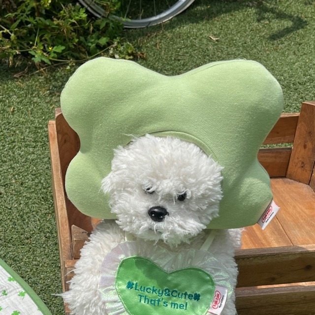 【予約】Clover Hat / tak tak tak tak　韓国犬服