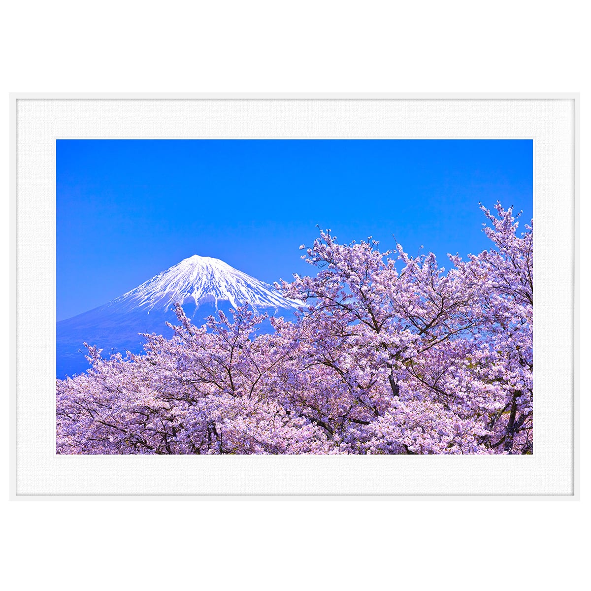 日本写真 富士山 インテリアアートパノラマ横長額装 AS4187