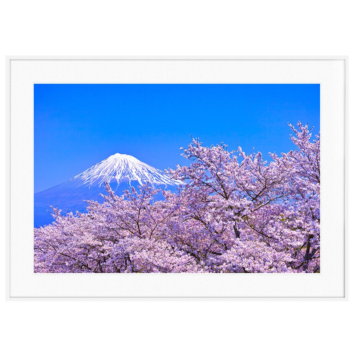 日本写真 岩本山満開の桜の花から見た富士山 インテリアアートポスター額装 AS4897