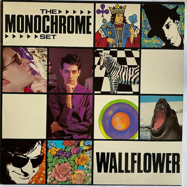 【12EP】The Monochrome Set – Wallflower