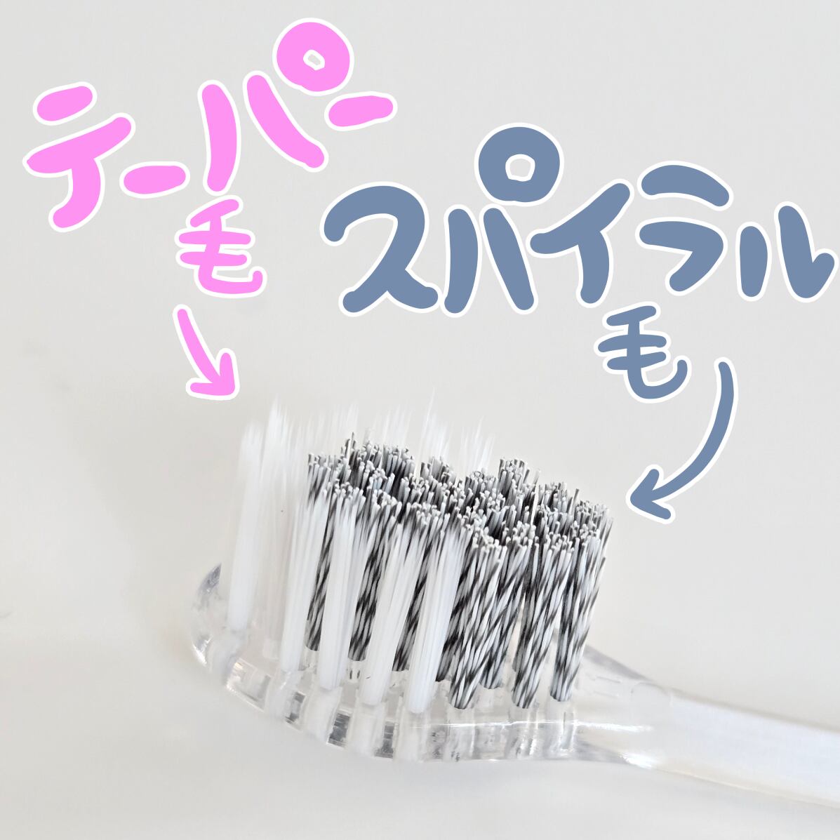Lacoral × COLORPPO】ラッコちゃんデザイン ダブル植毛歯ブラシ