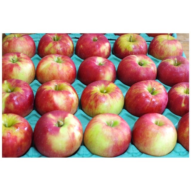 紅玉 ４.５ｋｇ家庭用