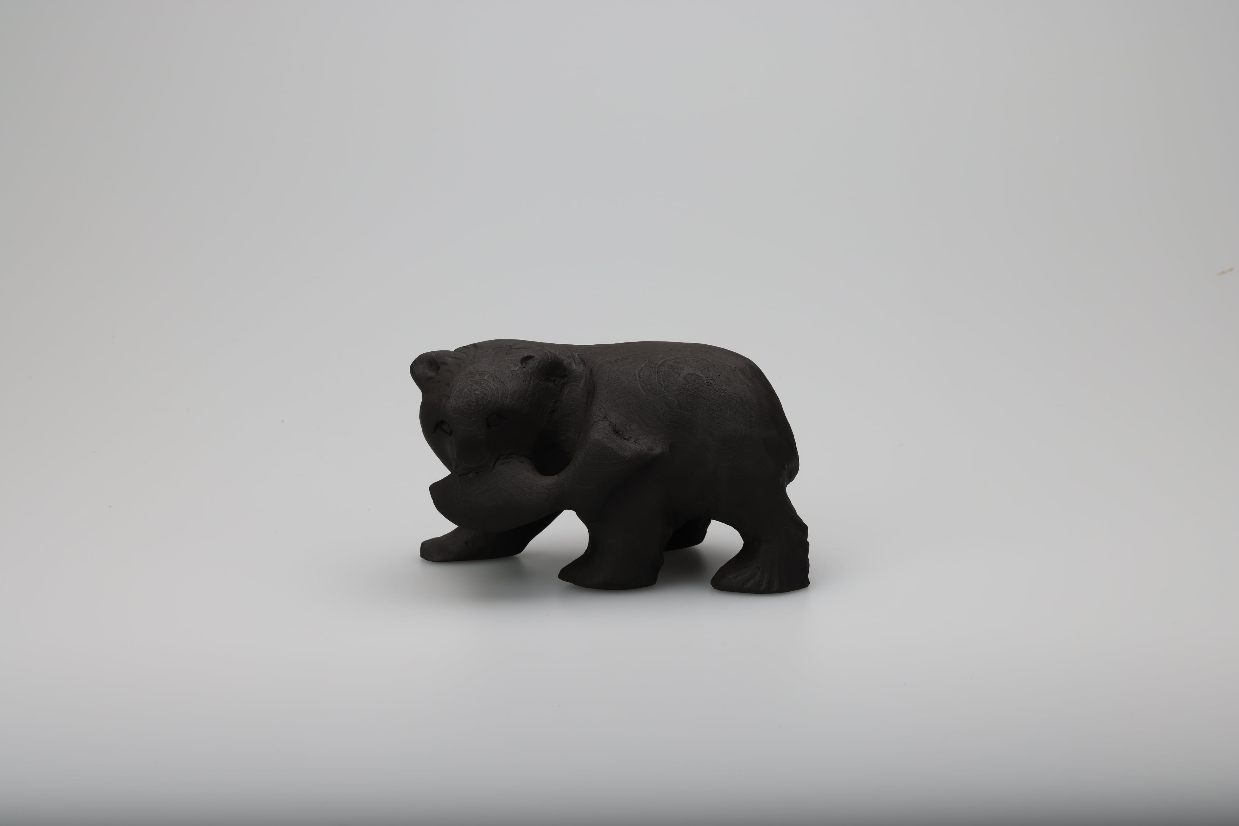 Re-Bear Project