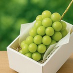 【10月5日お届け分まで】甘さはじける！五味農園の大粒・極上シャインマスカット