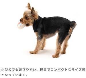 バースデーラテトイ