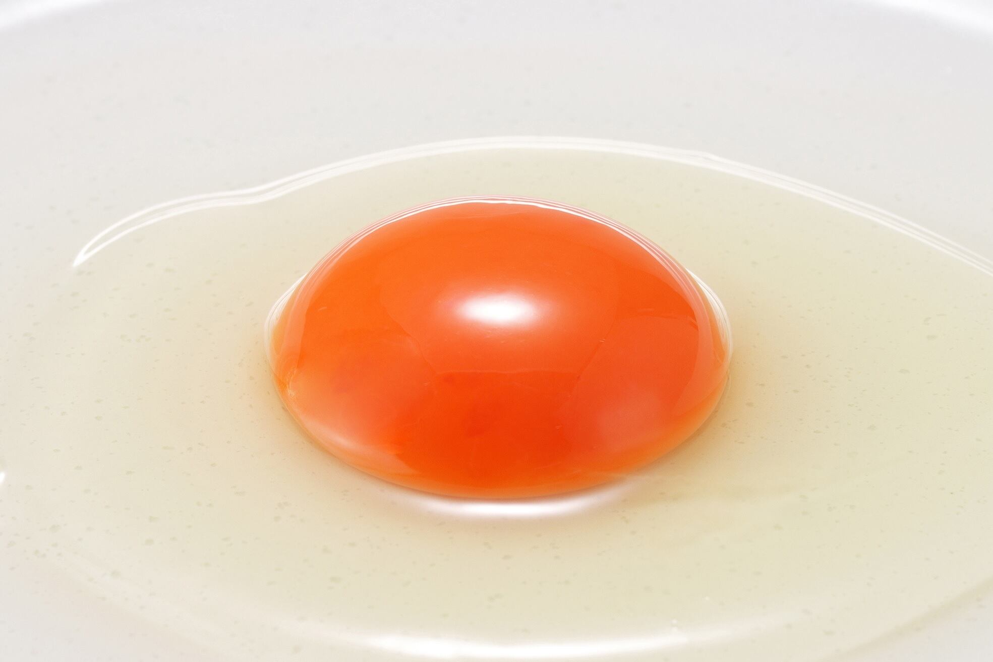 たまご」夢王－ゆめおう－高級特殊卵 1パック（1パック10個入） | EGG-Kohei 玉子屋コーエイコーポレーション