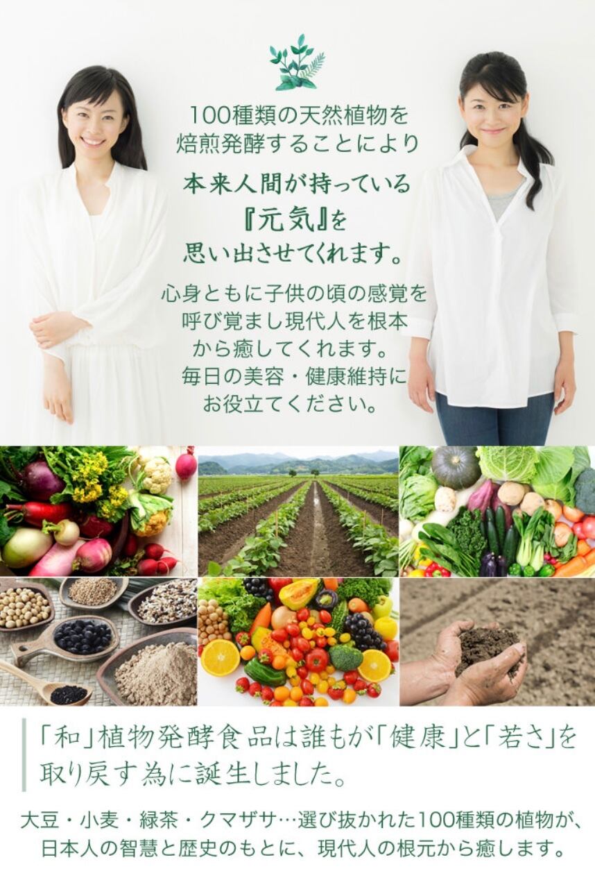 植物発酵食品 「和」KAZU