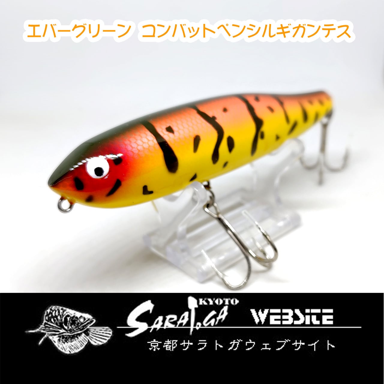 ザウルス ヨルマルミノー | 京都さらとが
